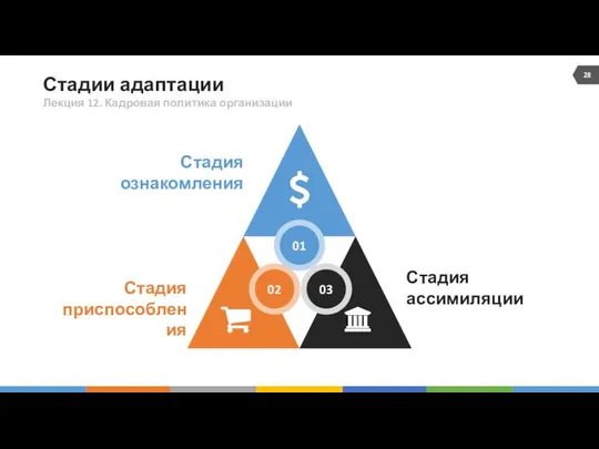 Стадии адаптации Стадия ознакомления Стадия приспособления Стадия ассимиляции Лекция 12. Кадровая политика организации