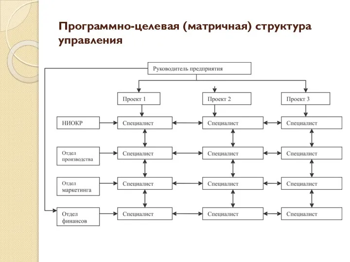 Программно-целевая (матричная) структура управления