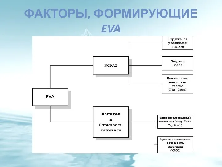 ФАКТОРЫ, ФОРМИРУЮЩИЕ EVA