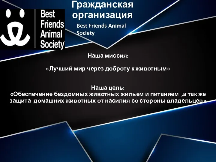 Гражданская организация Наша миссия: «Лучший мир через доброту к животным» Наша