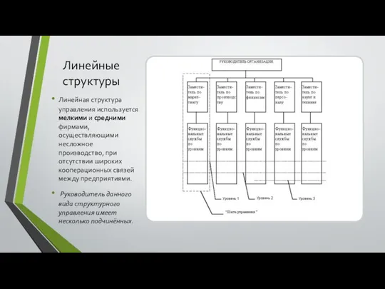 Линейные структуры Линейная структура управления используется мелкими и средними фирмами, осуществляющими