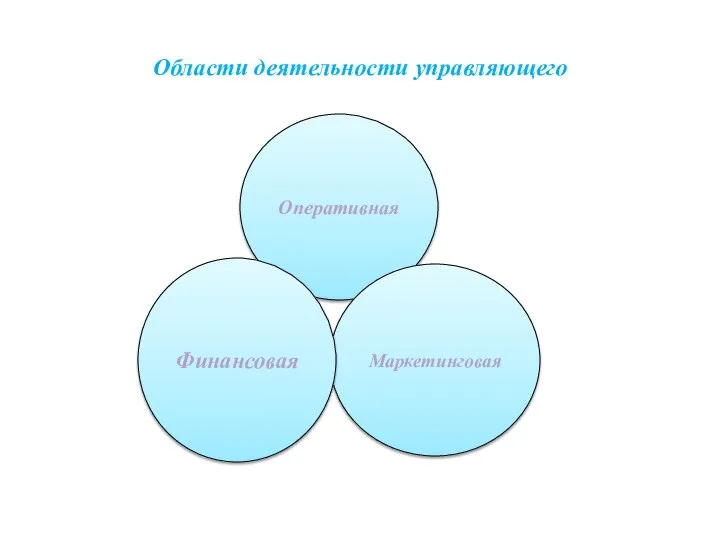 Области деятельности управляющего Оперативная Маркетинговая Финансовая