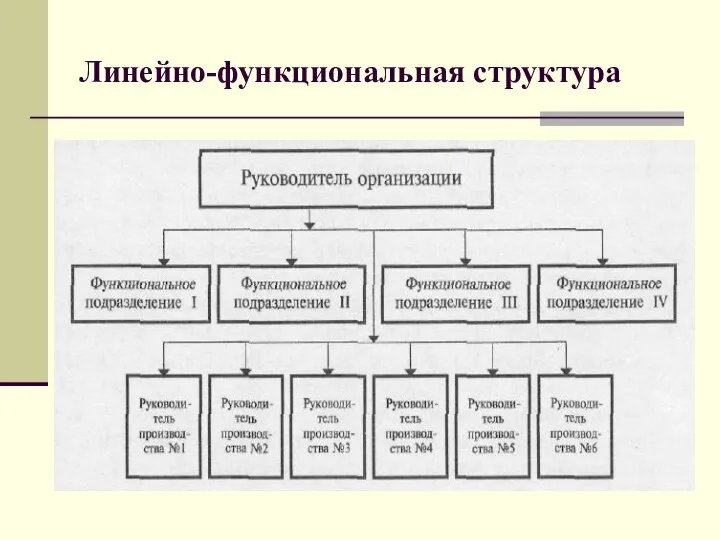 Линейно-функциональная структура