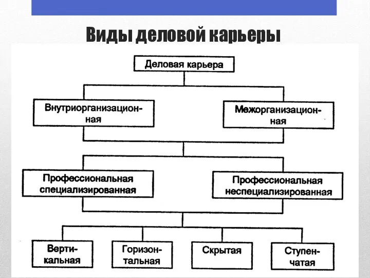 Виды деловой карьеры