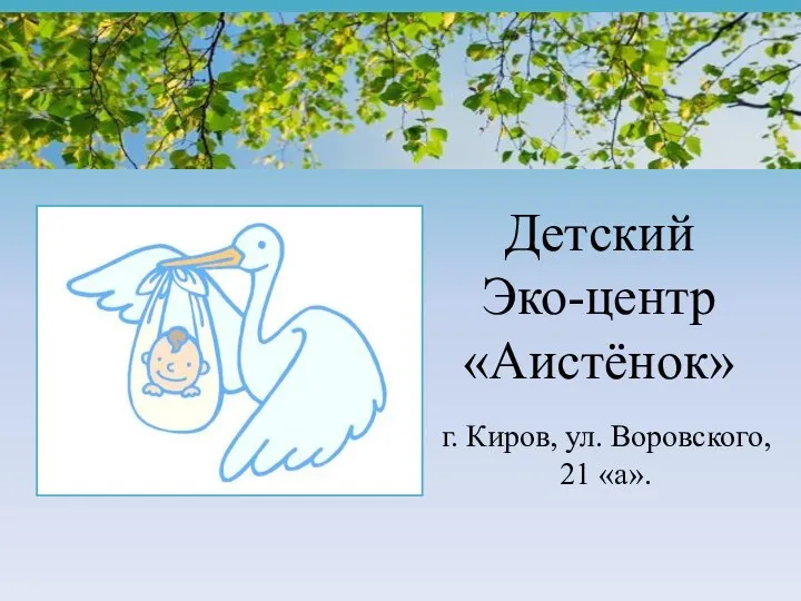 Детский Эко-центр «Аистёнок» г. Киров, ул. Воровского, 21 «а».