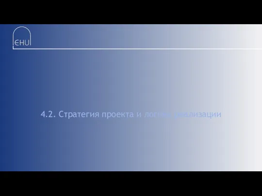 4.2. Стратегия проекта и логика реализации