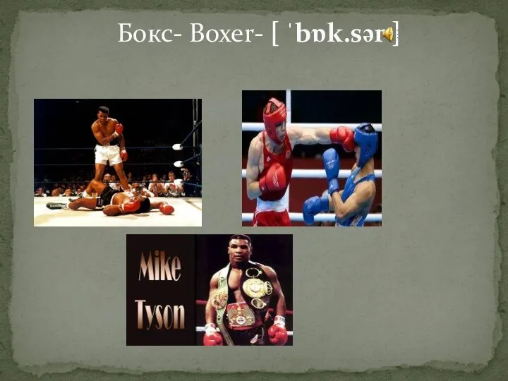 Бокс- Boxer- [ ˈbɒk.sər ]