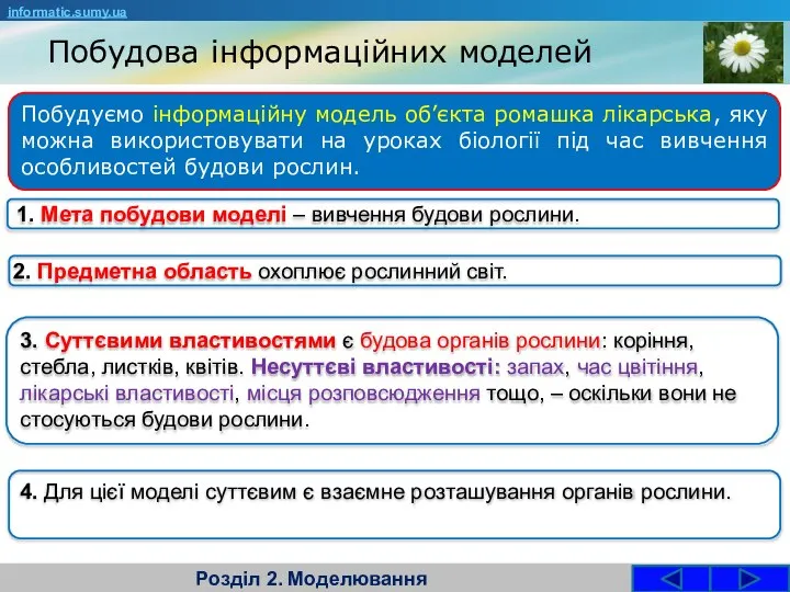 Побудова інформаційних моделей Розділ 2. Моделювання Побудуємо інформаційну модель об’єкта ромашка