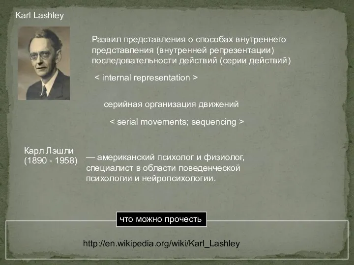 Karl Lashley серийная организация движений Развил представления о способах внутреннего представления