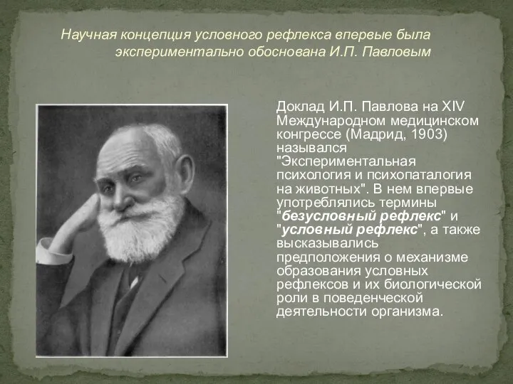 Научная концепция условного рефлекса впервые была экспериментально обоснована И.П. Павловым Доклад