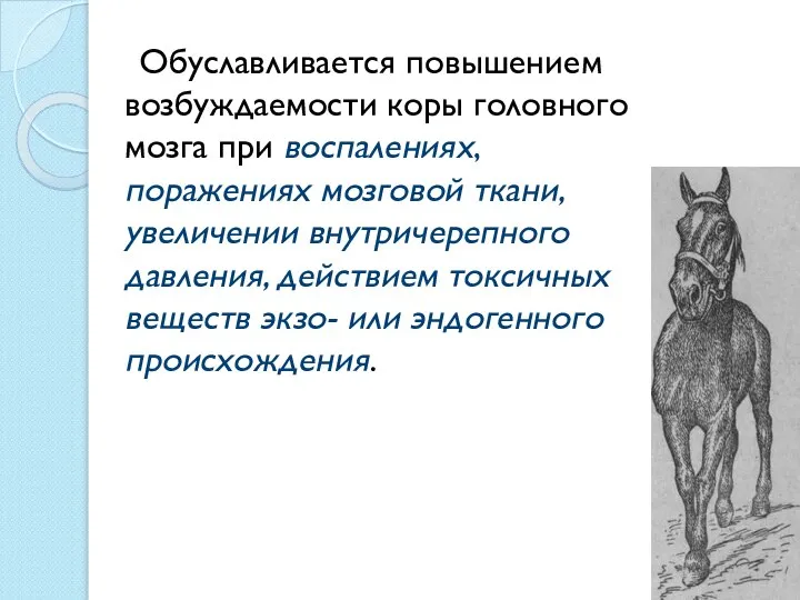 Обуславливается повышением возбуждаемости коры головного мозга при воспалениях, поражениях мозговой ткани,