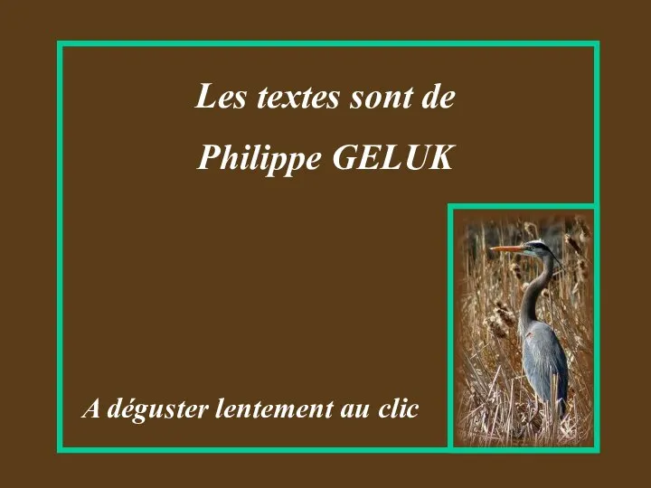 A déguster lentement au clic Les textes sont de Philippe GELUK