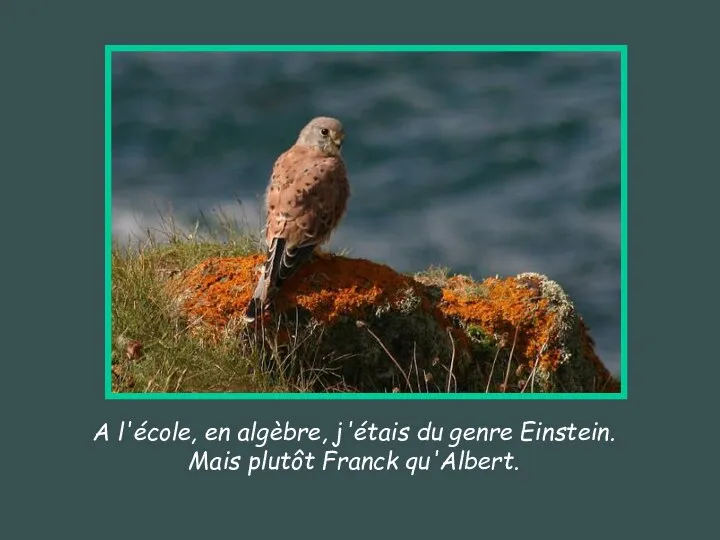 A l'école, en algèbre, j'étais du genre Einstein. Mais plutôt Franck qu'Albert.