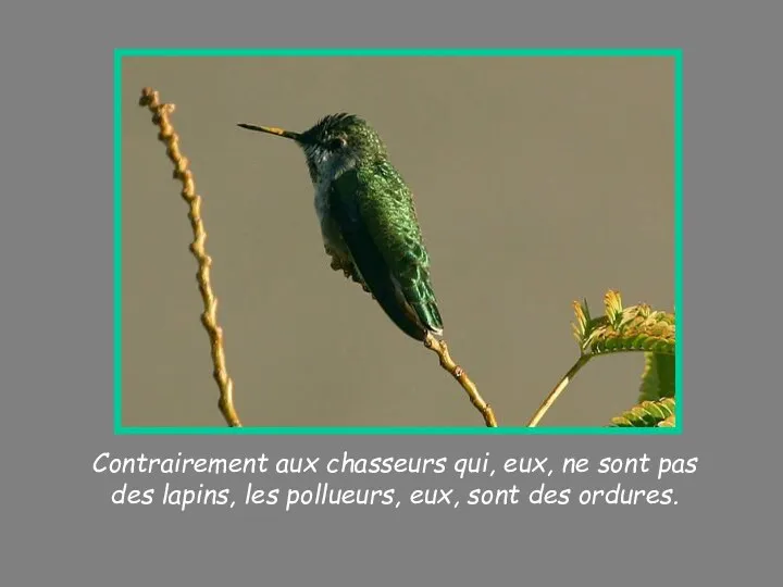 Contrairement aux chasseurs qui, eux, ne sont pas des lapins, les pollueurs, eux, sont des ordures.