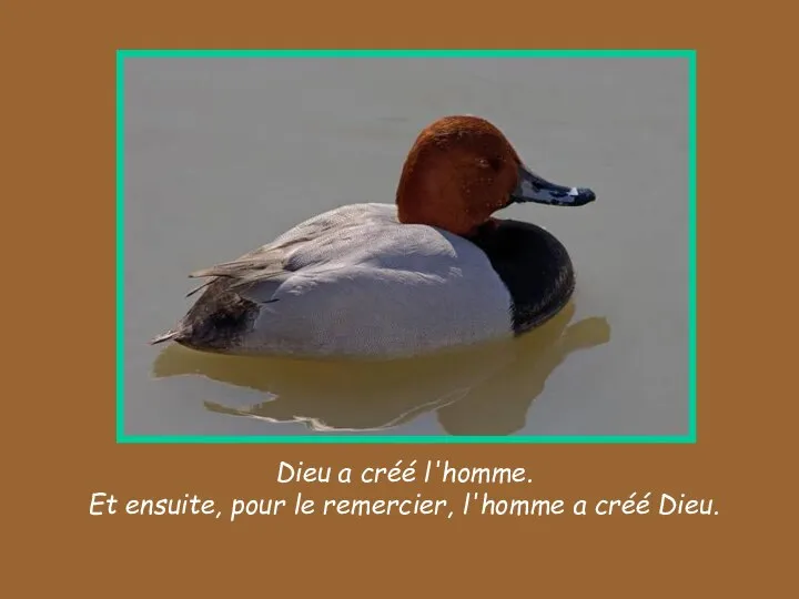 Dieu a créé l'homme. Et ensuite, pour le remercier, l'homme a créé Dieu.