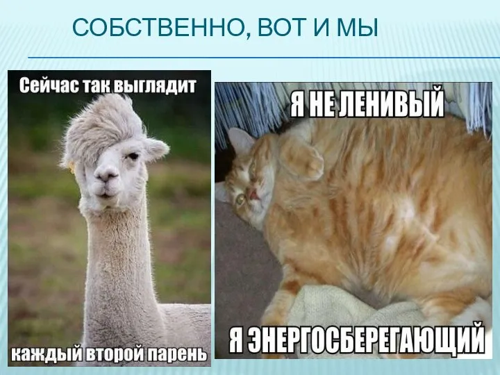 СОБСТВЕННО, ВОТ И МЫ