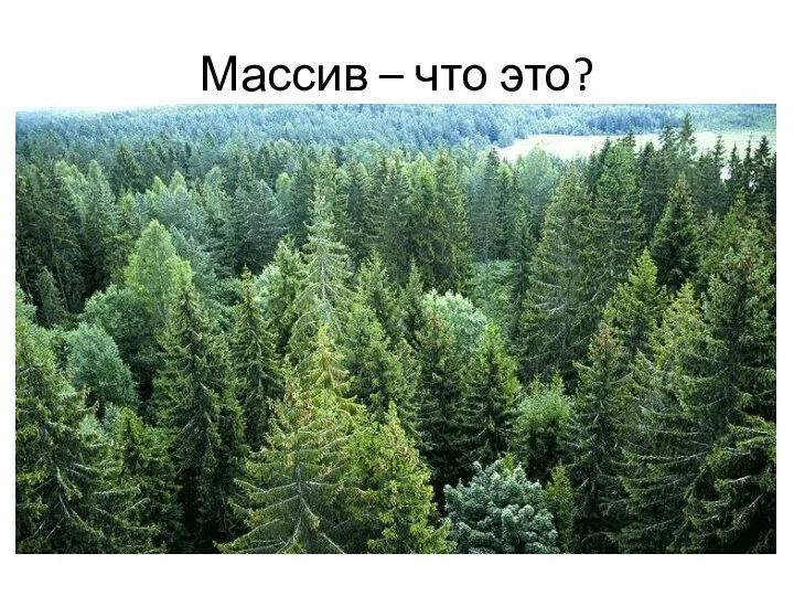 Массив – что это?