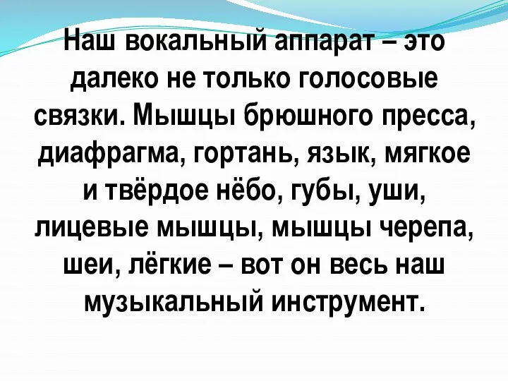 Наш вокальный аппарат – это далеко не только голосовые связки. Мышцы