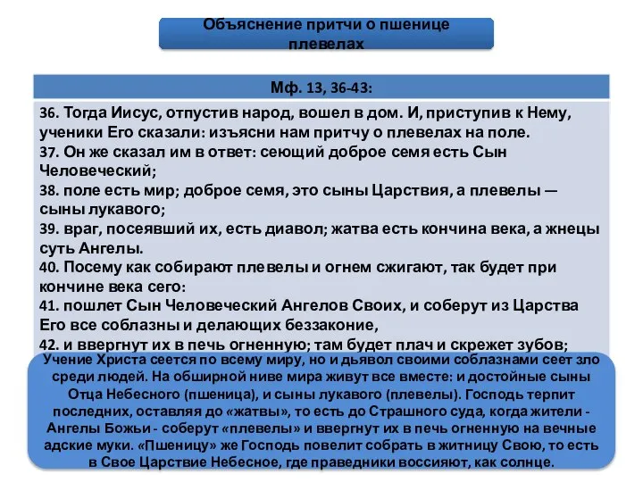 Притча о пшенице и плевелах Объяснение притчи о пшенице плевелах Учение