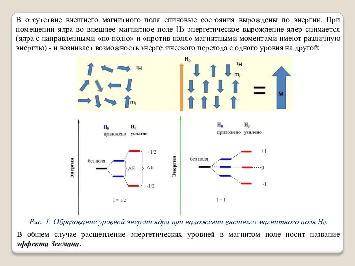 Рис. 1. Образование уровней энергии ядра при наложении внешнего магнитного поля