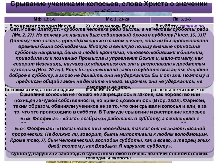 Срывание учениками колосьев, слова Христа о значении субботы Сила примера в