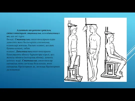 Адамның антропометриялық сипаттамаларын статикалық жәнединамикалық деп екі түрге бөледі. Статикалық сипаттамаларына