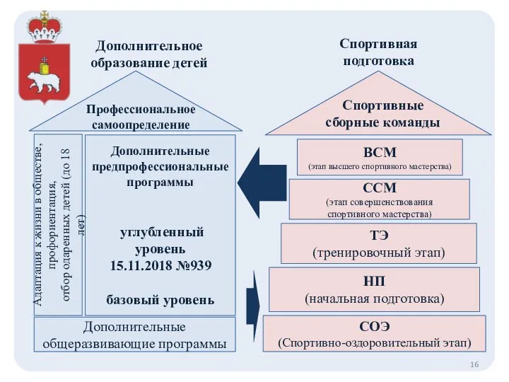 СОЭ (Спортивно-оздоровительный этап) НП (начальная подготовка) ТЭ (тренировочный этап) ССМ (этап