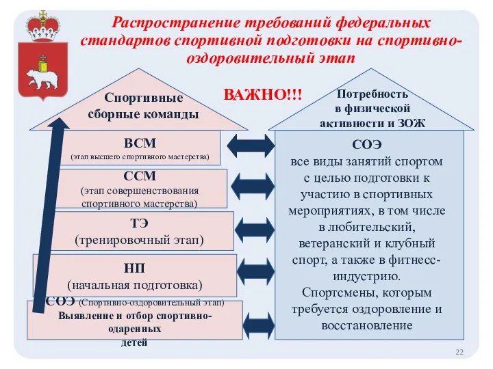 СОЭ (Спортивно-оздоровительный этап) Выявление и отбор спортивно-одаренных детей НП (начальная подготовка)