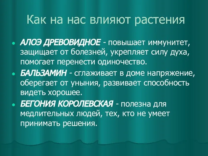 Как на нас влияют растения АЛОЭ ДРЕВОВИДНОЕ - повышает иммунитет, защищает