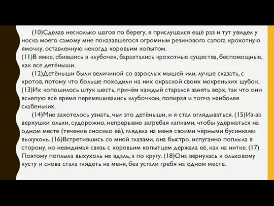 (10)Сделав несколько шагов по берегу, я прислушался ещё раз и тут