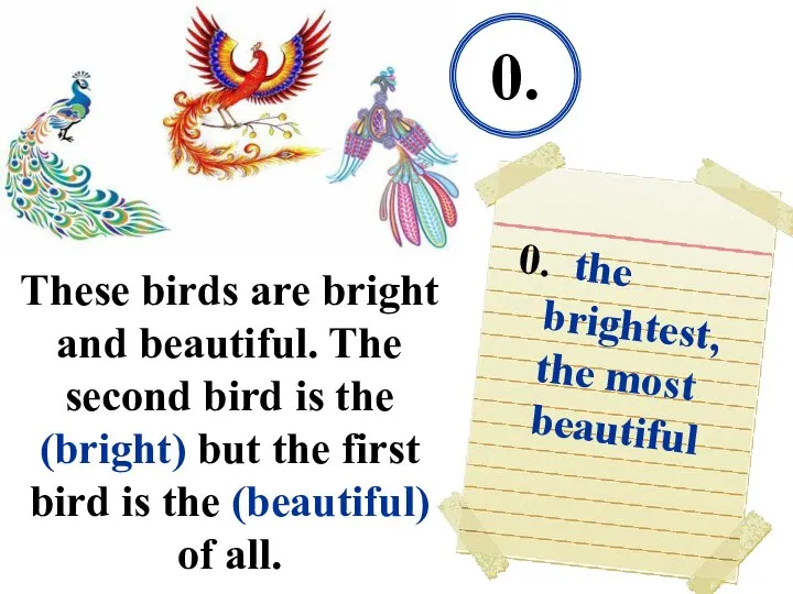These birds are bright and beautiful. The second bird is the