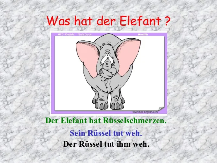 Was hat der Elefant ? Der Elefant hat Rüsselschmerzen. Sein Rüssel