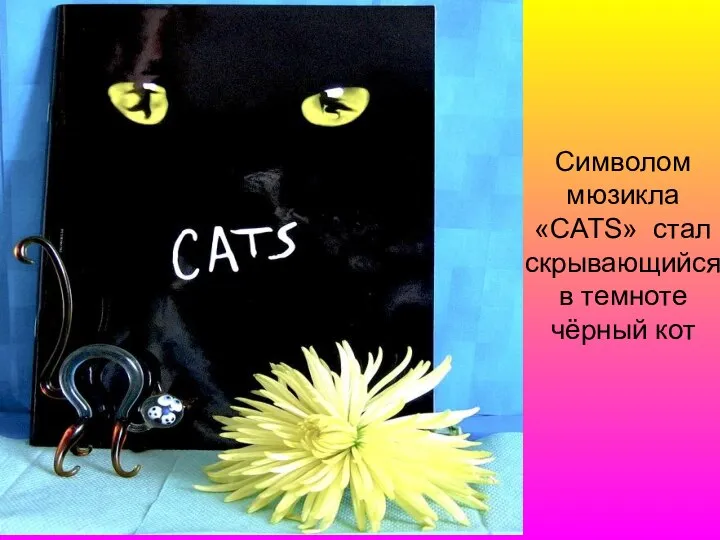 Символом мюзикла «CATS» стал скрывающийся в темноте чёрный кот