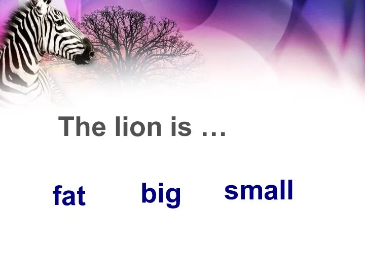 The lion is … big fat small