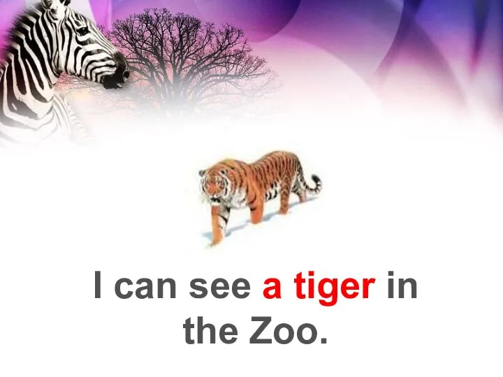 I can see a tiger in the Zoo.