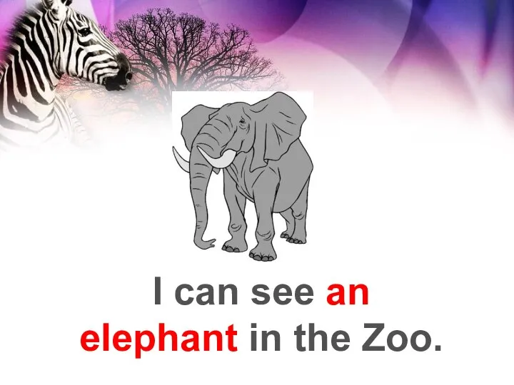 I can see an elephant in the Zoo.