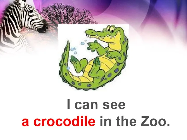 I can see a crocodile in the Zoo.