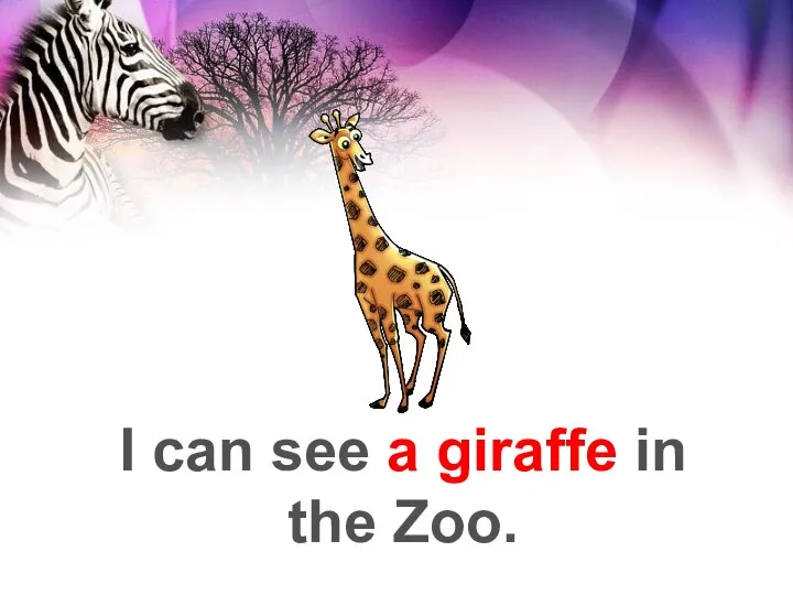 I can see a giraffe in the Zoo.