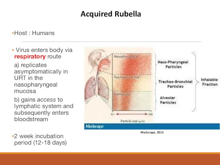 Host : Humans Virus enters body via respiratory route a) replicates