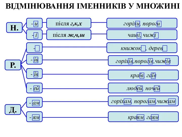 ВІДМІНЮВАННЯ ІМЕННИКІВ У МНОЖИНІ горіхи, пороги чаші, чижі книжок , дерев