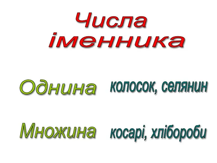 іменника Числа Однина Множина колосок, селянин косарі, хлібороби