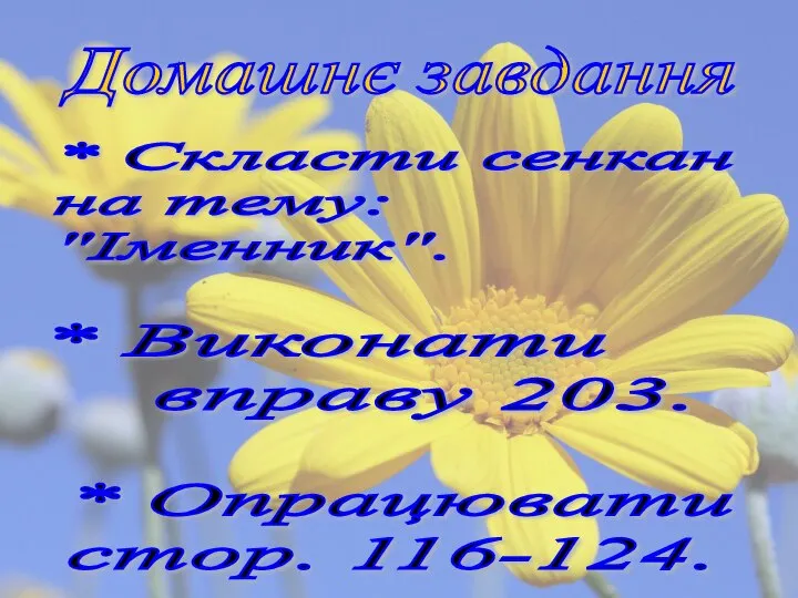 Домашнє завдання * Скласти сенкан на тему: "Іменник". * Виконати вправу 203. * Опрацювати стор. 116-124.