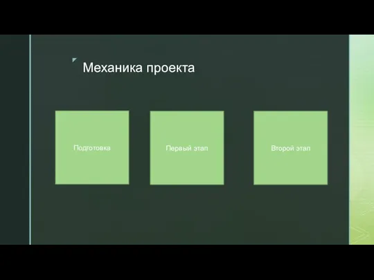 Механика проекта Подготовка Первый этап Второй этап