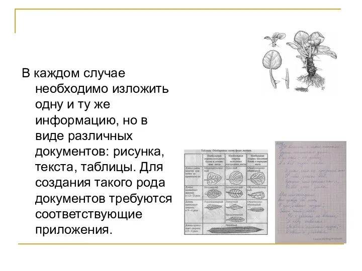 В каждом случае необходимо изложить одну и ту же информацию, но