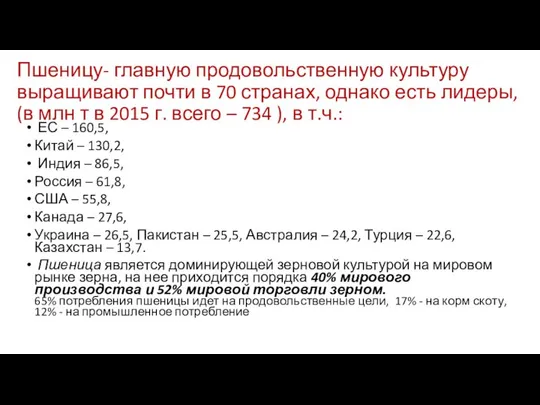 Пшеницу- главную продовольственную культуру выращивают почти в 70 странах, однако есть