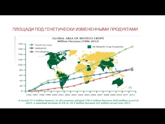 ПЛОЩАДИ ПОД ГЕНЕТИЧЕСКИ ИЗМЕНЕННЫМИ ПРОДУКТАМИ