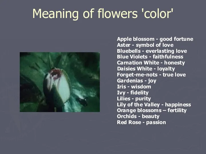 Meaning of flowers 'color' Apple blossom - good fortune Aster -