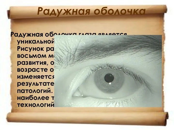 Радужная оболочка Радужная оболочка глаза является уникальной характеристикой человека. Рисунок радужки