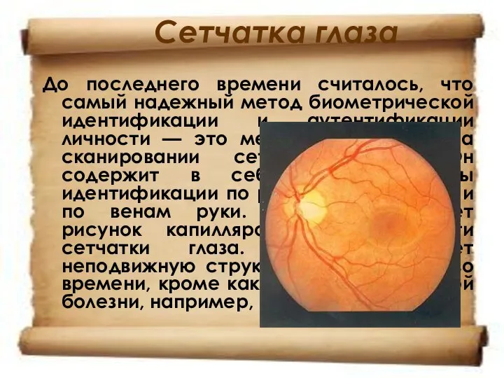 Сетчатка глаза До последнего времени считалось, что самый надежный метод биометрической