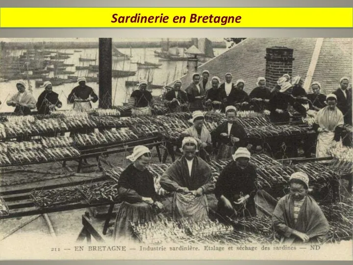 Sardinerie en Bretagne